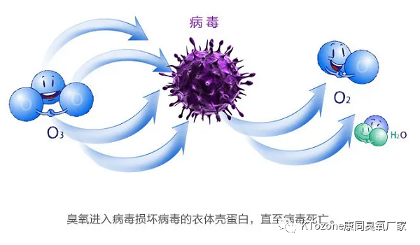 新圖片1.png