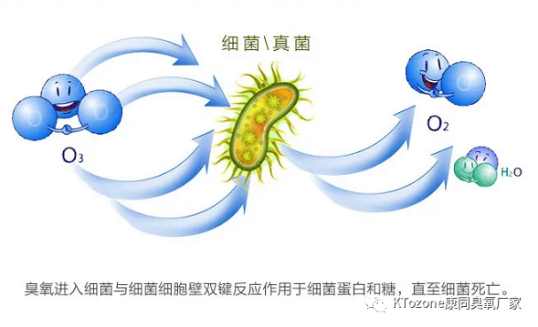 新圖片2.png