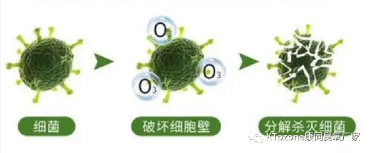 新圖片3.png