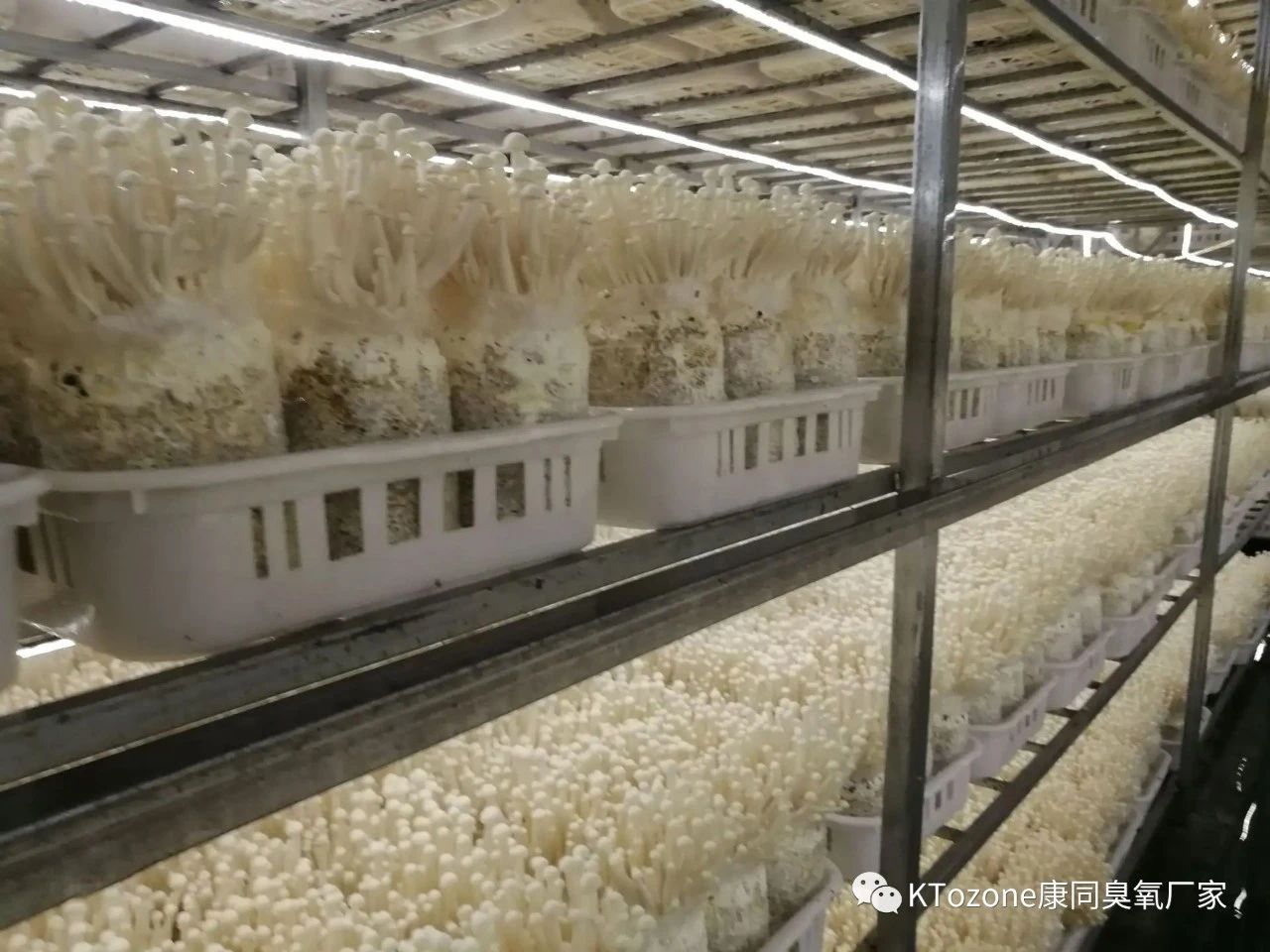 新圖片6.jpg