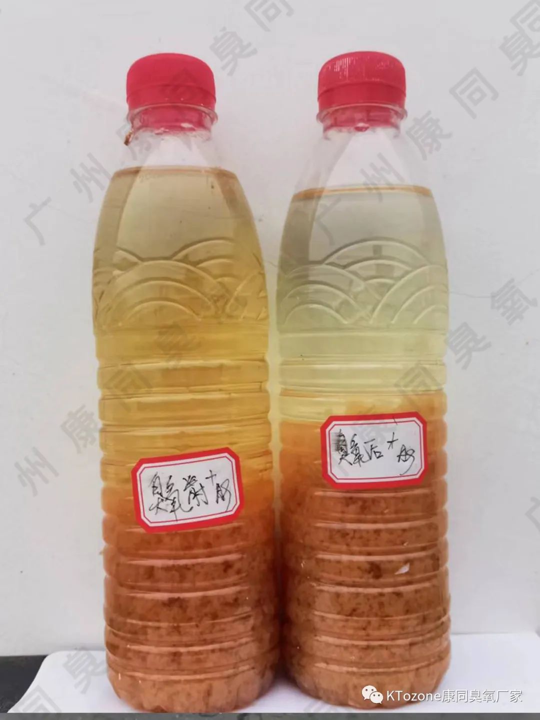 新圖片9.jpg