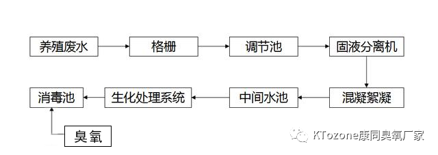 新圖片13.png