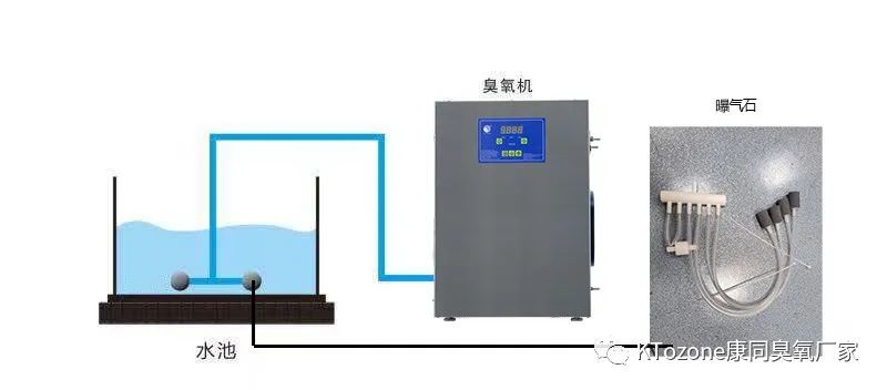 新圖片25.jpg